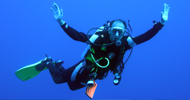 Private Dive Courses and Guidance 